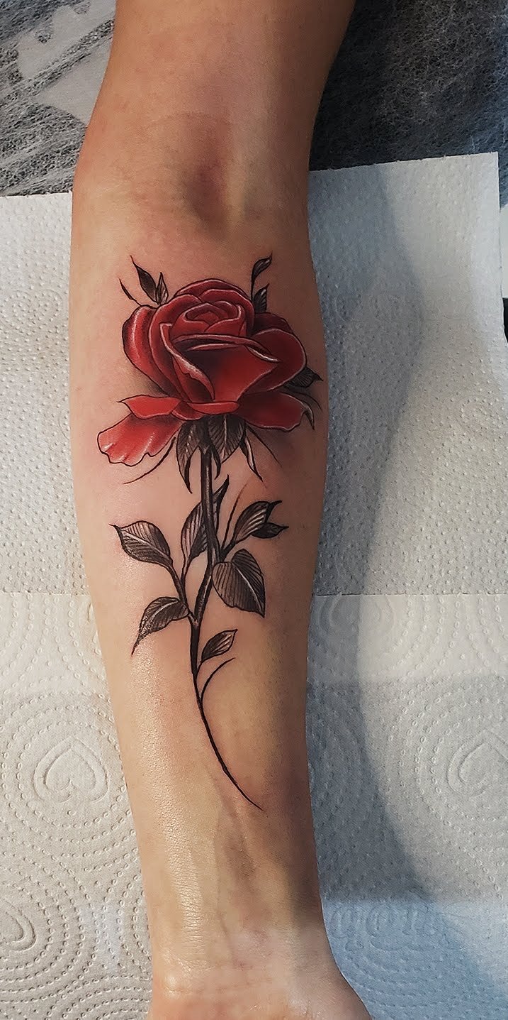 Rosa Vermelha em Aquarela — trabalho autoral de Rogério Plaça